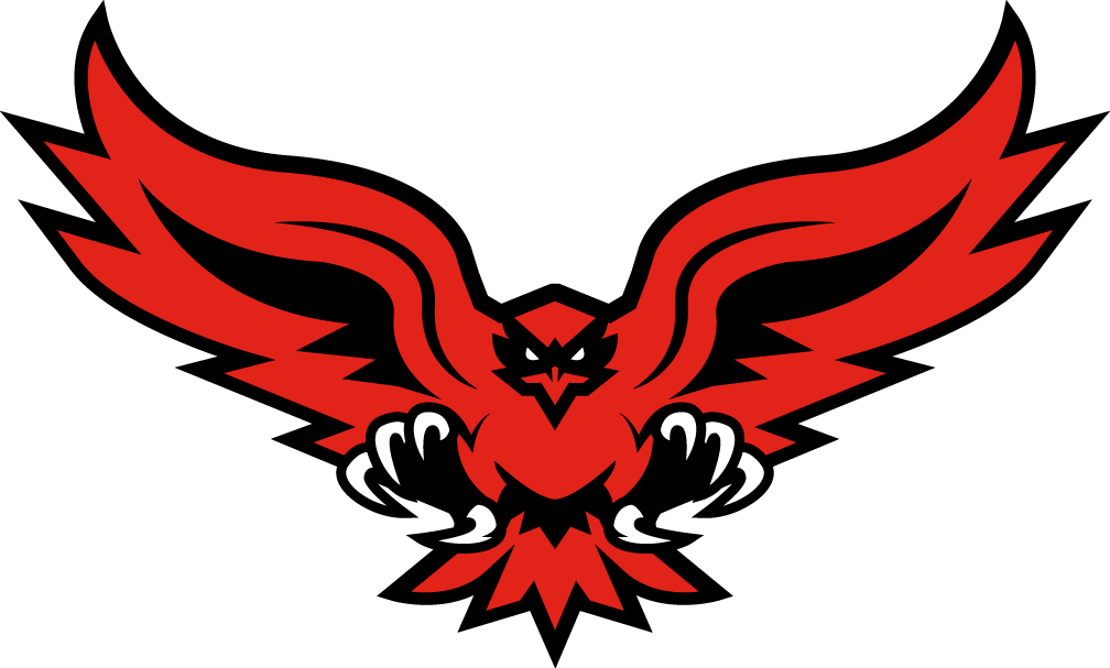 Hartford Hawks 2015-Pres Alternate Logo v2 iron on transfers for clothing